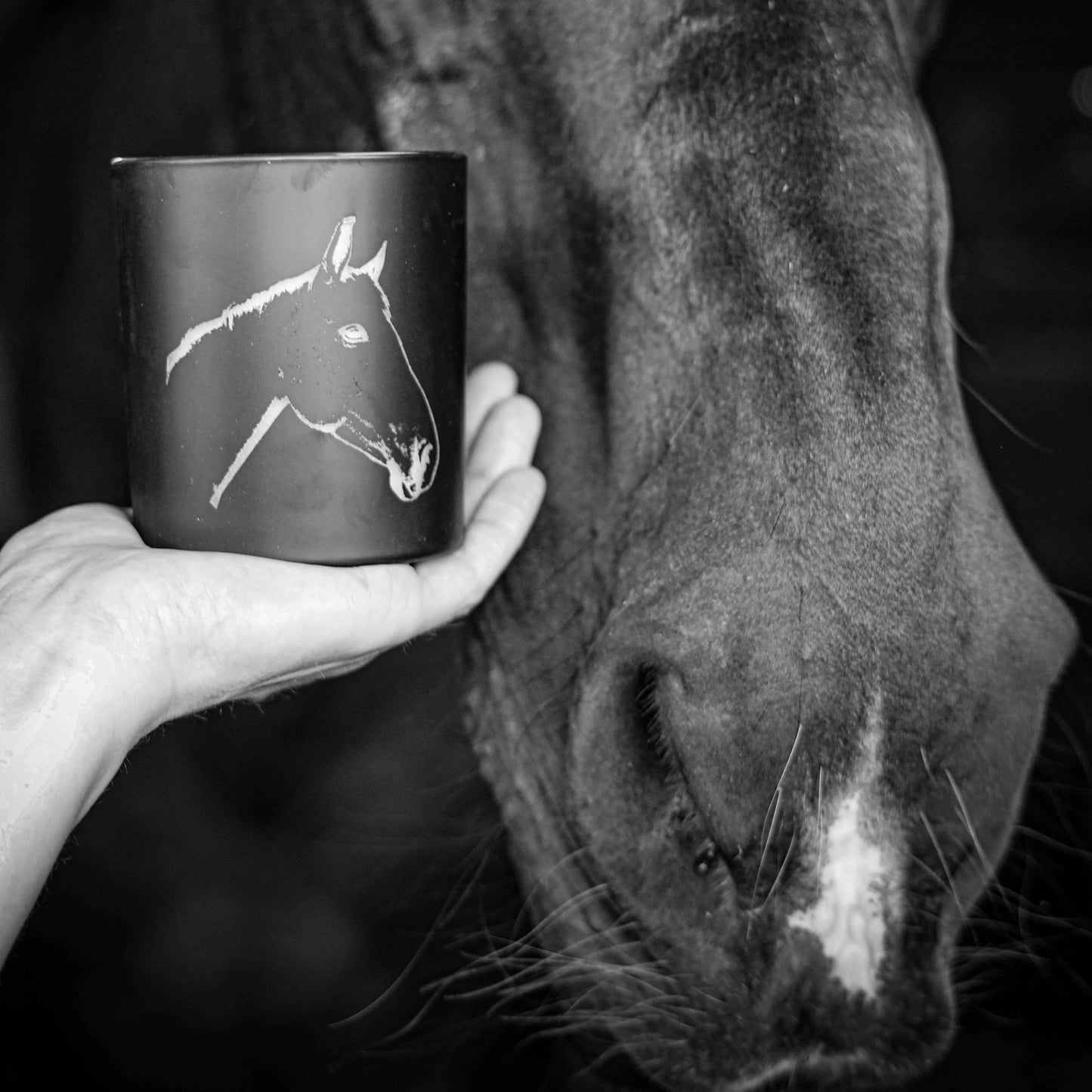 Rhollex - Running Riot Citrus Chase 30cl